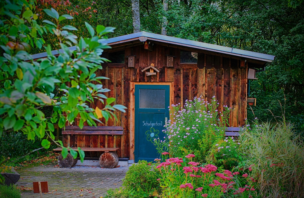 school, school garden, garden shed