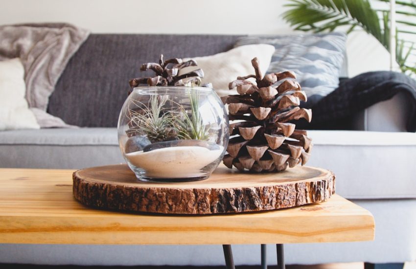 clear fishbowl beside pine cones on brown wooden table