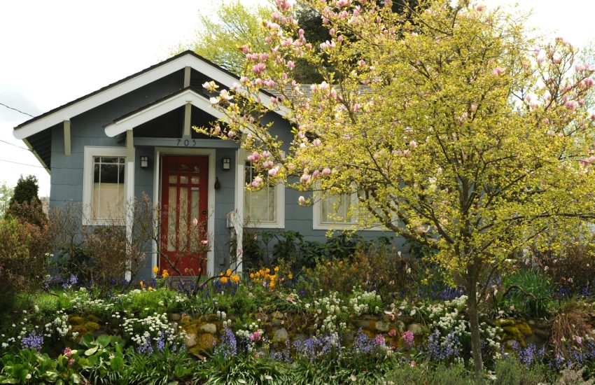 white and brown house surrounded by green trees and plants